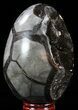 Septarian Dragon Egg Geode - Black Crystals #57336-1